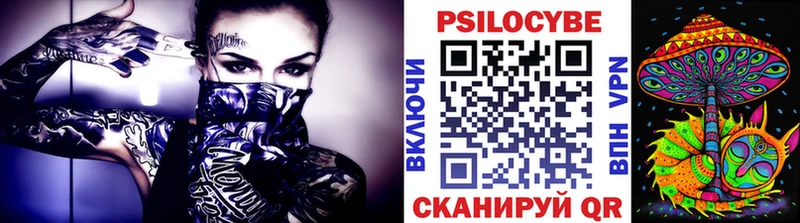 Купить  Шацк  Псилоцибиновые грибы MAGIC MUSHROOMS 